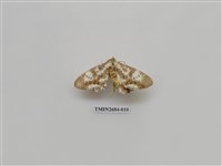 藏品(尺蛾229)的圖片